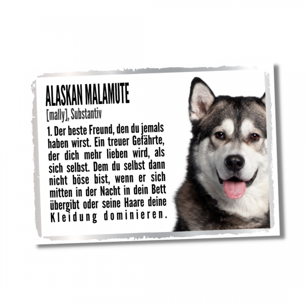 Duden_AlaskMalamute1