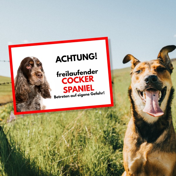 SchildFrei_Cocker4_1