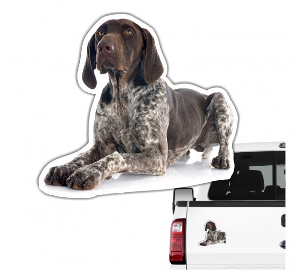 Deutsch Kurzhaar DK Deutscher kurzhaariger Vorstehhund German Shorthaired Pointer Jagdhund Jäger Bayern Dog Pfoten Digitaldruck Motiv by SIVIWONDER