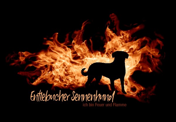 UTFlamme_EntlebSennenMo