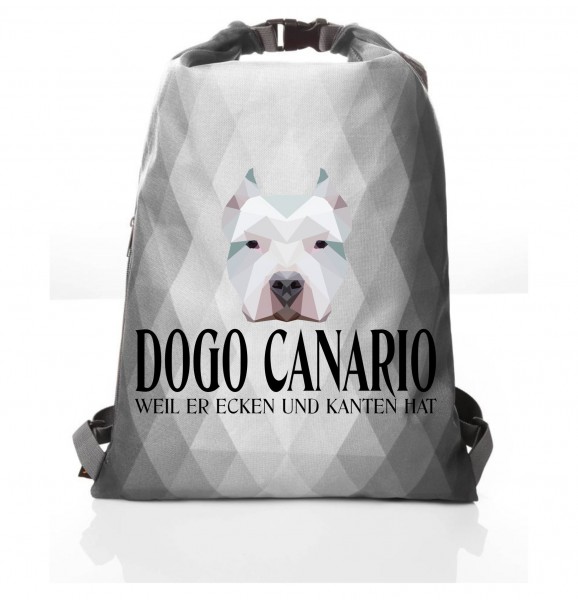 PBAGPoly_DogoCanario