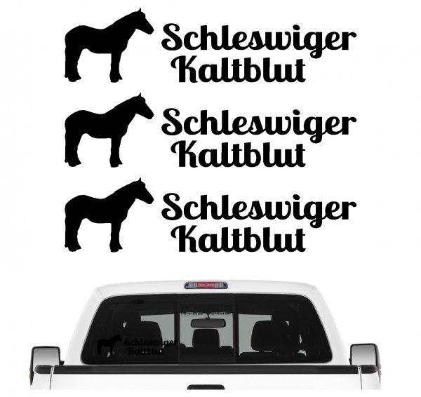 A3erPF_SchleswKaltblutB