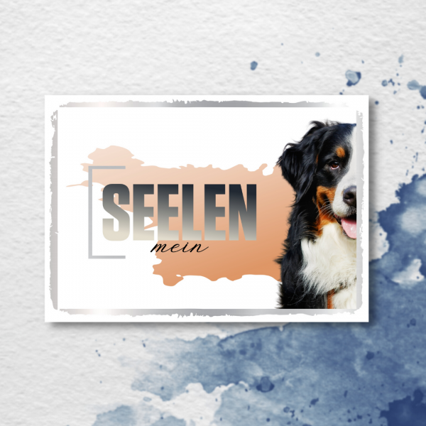 SeeleD_BernerSennen2