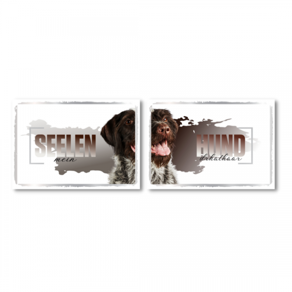 SeeleD_DeutDrahthaar1