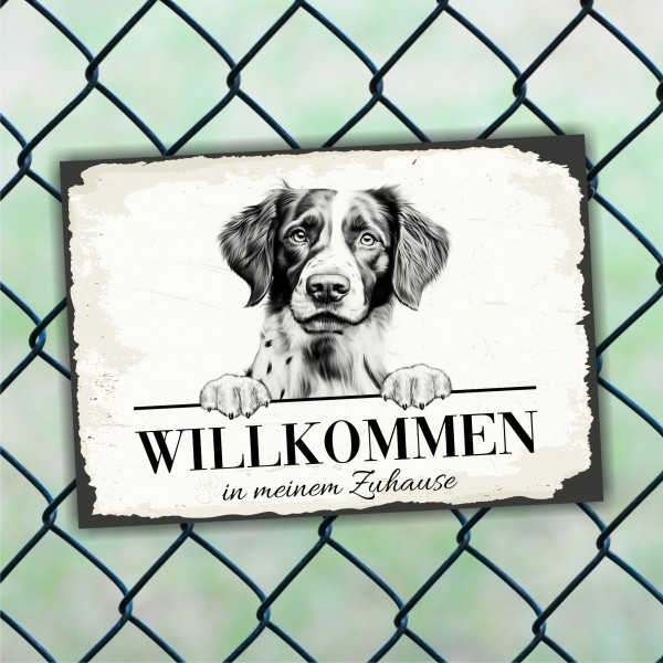 SchildWillk_EpagneulBre3c