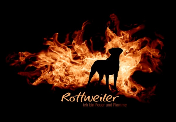 UTFlamme_RottweilerMo