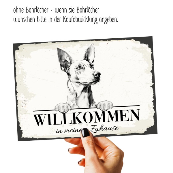 Hundeschild Willkommen Zuhause Podenco Ibicenco Schild Achtung Spruch