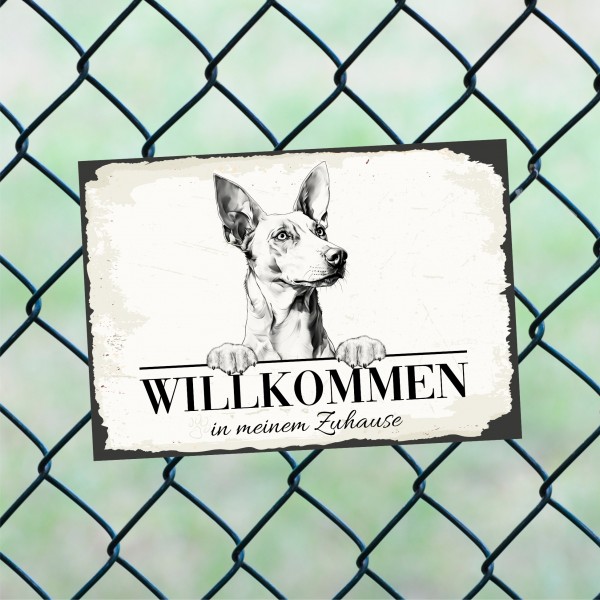 Hundeschild Willkommen Zuhause Podenco Ibicenco Schild Achtung Spruch