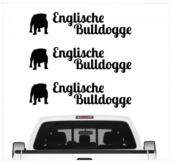 A_3er_EnglBulldoggeB