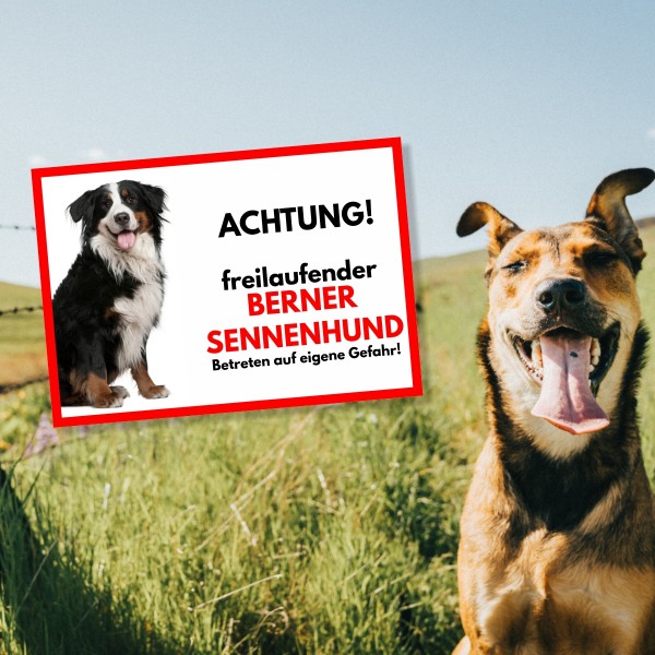 SchildFrei_BernerSennen1