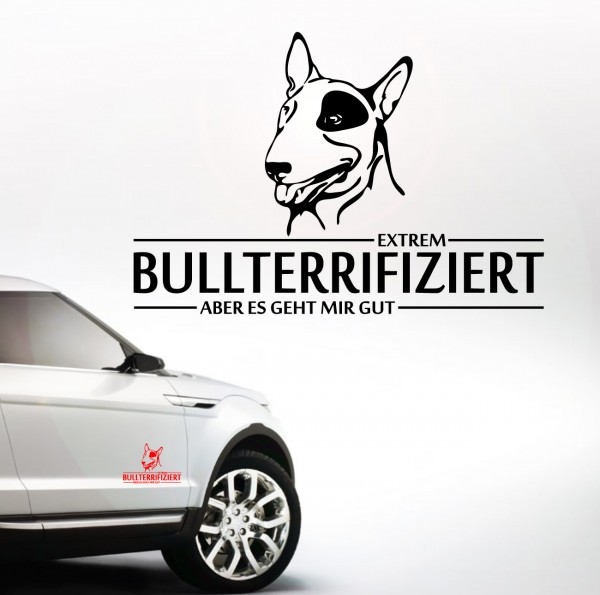 AINFBULLTERRIER_Index