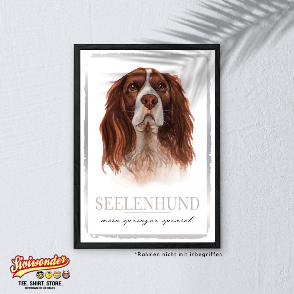 SeeleW_SpringerSpaniel3
