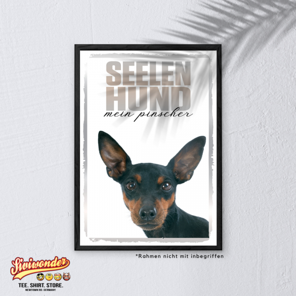 SeeleR_Pinscher3