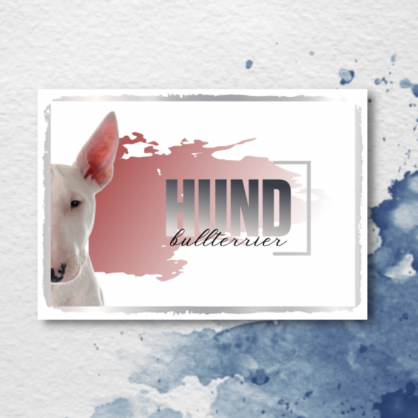SeeleD_Bullterrier2_3