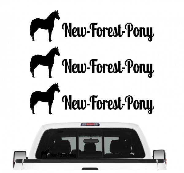 New Forest Pony New-Forest Reitpony Pferdesport Freizeit Reiten Familienpferd Aufkleber 3er Set Pferdeaufkleber Pferd reiten Auto Folie by SIVIWONDER