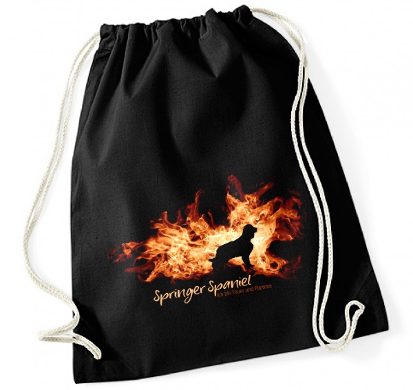 BAGFlamme_SpringerSpan