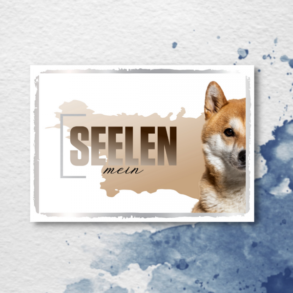 SeeleD_AkitaInu2