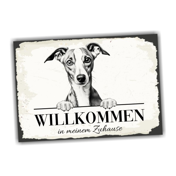 Hundeschild Willkommen Zuhause Whippet Windhund Schild
