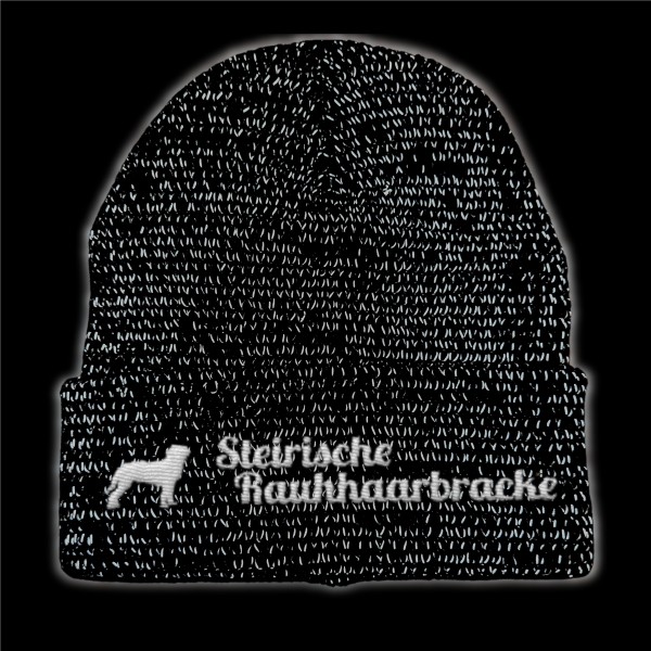 RefBeane_SteirischeRauhaarbracke2