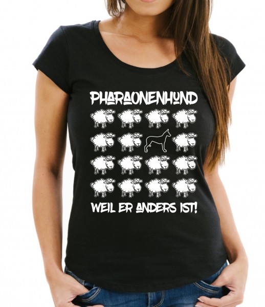 WT_Sheep_PharaonenhundB