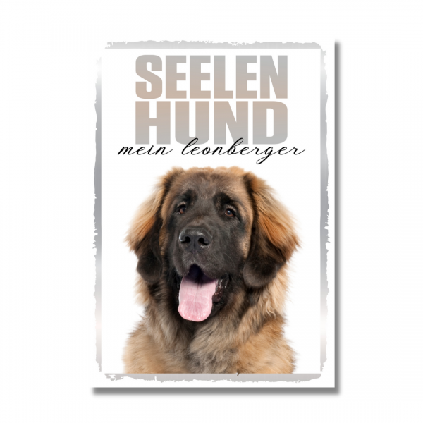 SeeleR_Leonberger1