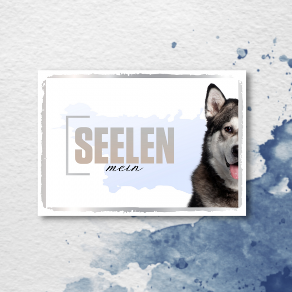 SeeleD_AlaskMalamute2