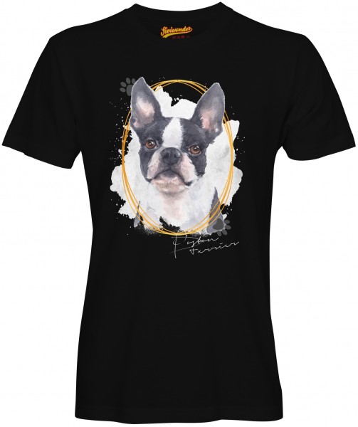 U_BostonTerrierB