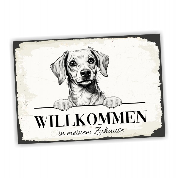Hundeschild Willkommen Zuhause Chiweenie Schild Achtung Spruch