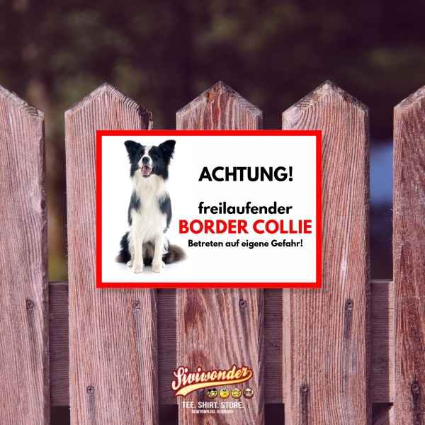 SchildFrei_BorderCollie2