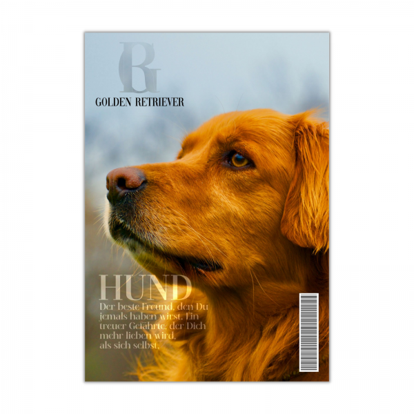 SchildMagazin_GoldenRetriever1