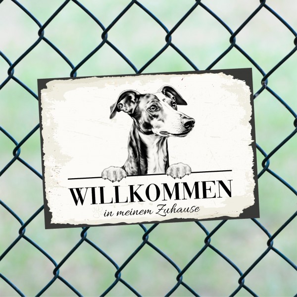 Hundeschild Willkommen Zuhause Greyhound Windhund Schild Achtung Spruch