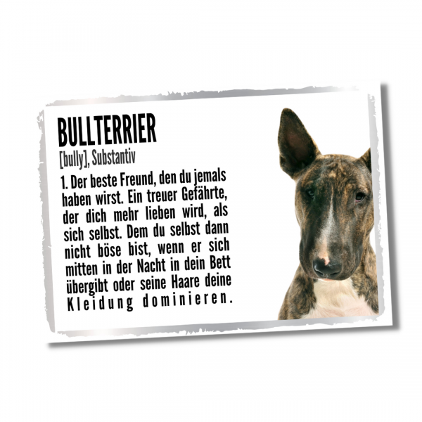 Duden_Bullterrier1