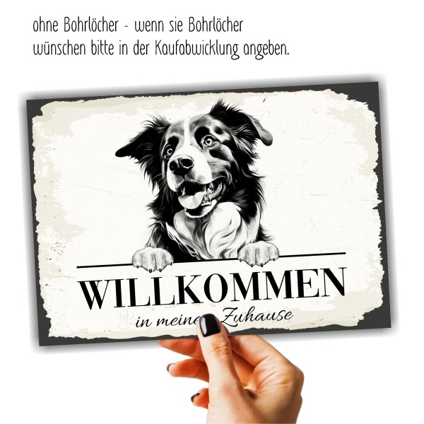 Hundeschild Willkommen Zuhause Border Collie Schild