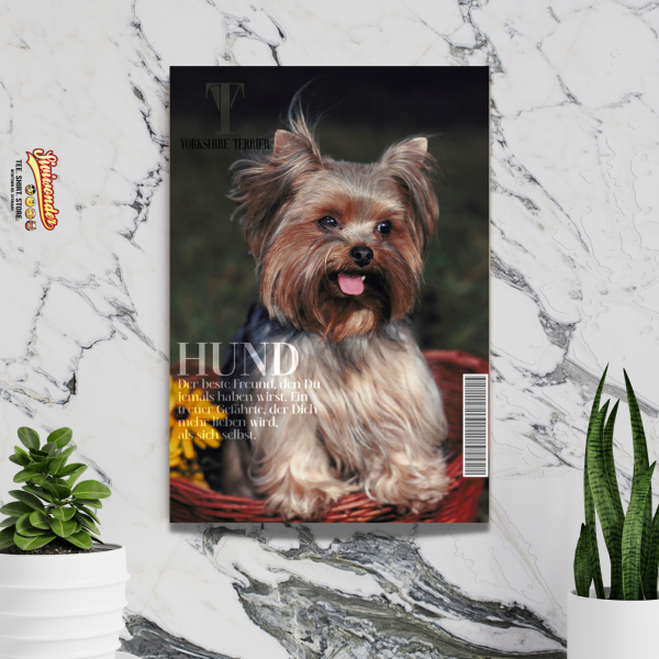 SchildMagazin_Yorkie2