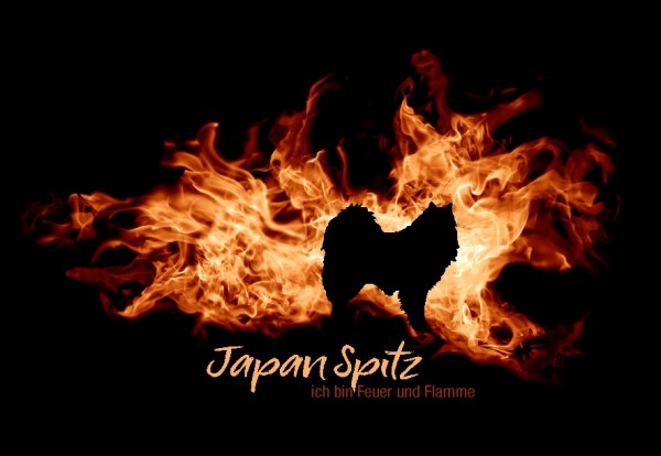 UTFlamme_JapanSpitzMo
