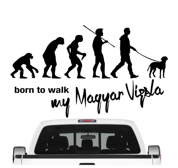 Magyar Vizsla Kurzhaariger Ungarischer Vorstehhund Hungarian Pointer Evolution Born to Walk Hunde Aufkleber Sticker Autoaufkleber Wandtattoo Tattoo