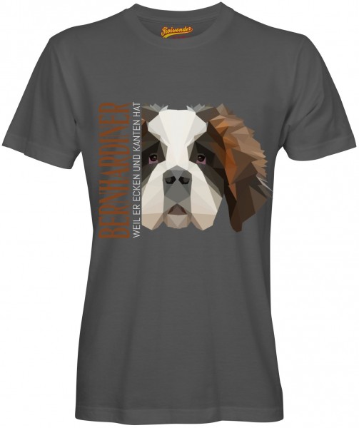 UTPoly_BernhardinerDG