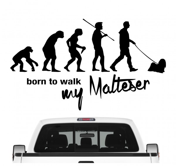 Malteser Maltese Dog Bichon Malteser Malta Evolution Born to Walk Hunde Aufkleber Sticker Autoaufkleber Wandtattoo Tattoo