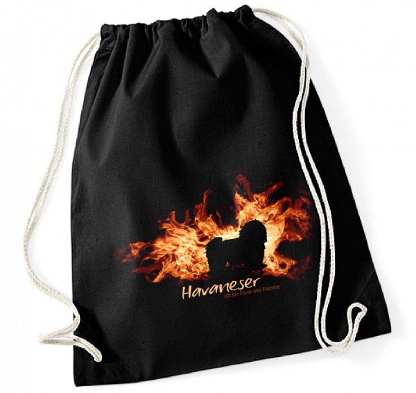 BAGFlamme_Havaneser