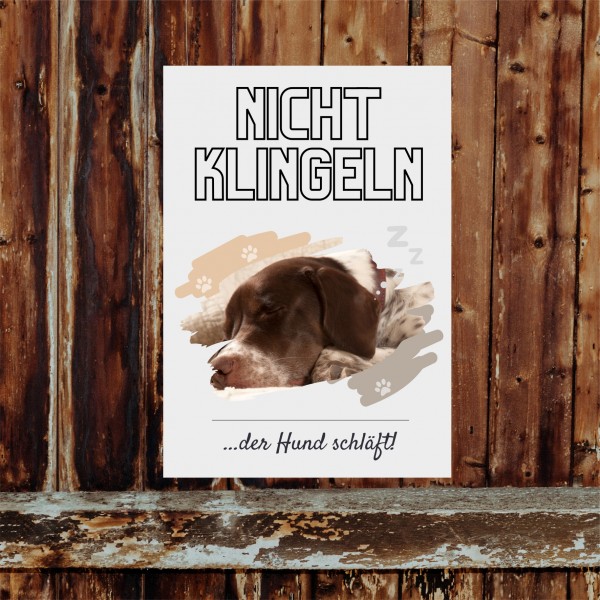 Deutsch Kurzhaar DK Hund nicht klingeln schlafen Schild Dog Hund Spruch Türschild Hundeschild Wall Art Gefährte