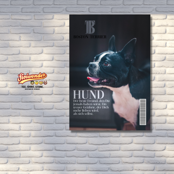 SchildMagazin_Boston3