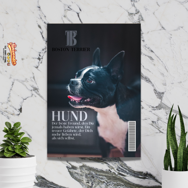 SchildMagazin_Boston2