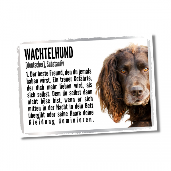 Duden_DeutWachtelhund1