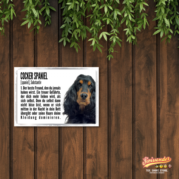 Duden_CockerSpaniel2