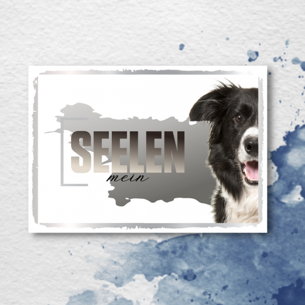 SeeleD_BorderCollie2