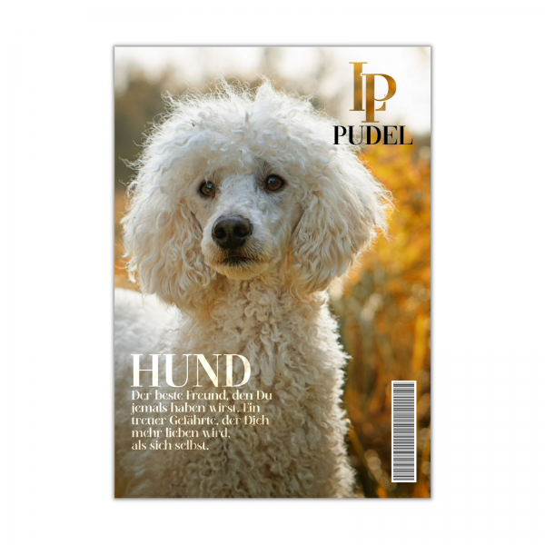 SchildMagazin_PudelW