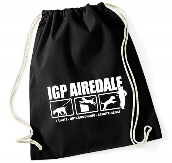 BAGIGP_AiredaleB