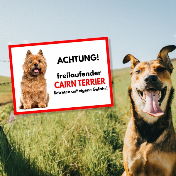 SchildFrei_CairnTerrierHell1