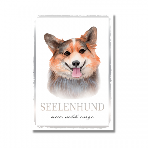SeeleW_WelshCorgi1