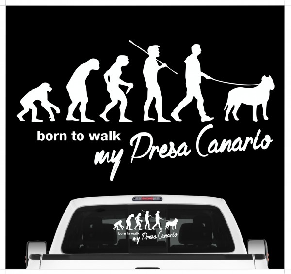 Presa Canario Perro Molosser Kanarische Dogge Presa Canario Evolution Born to Walk Hunde Aufkleber Sticker Autoaufkleber Wandtattoo Tattoo